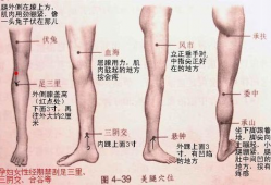 腿部按摩手法视频教程,轻松掌握专业按摩手法