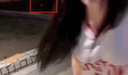女生zw视频,ZW女生视频中的青春魅力