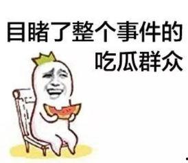 娱乐吃瓜菌体育,娱乐吃瓜菌带你揭秘精彩瞬间